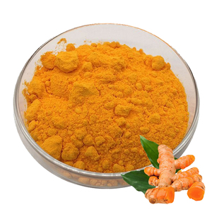 Pure Ground Turmeric Powder OEM Factory Supply Curcumin Herbal Ingredients