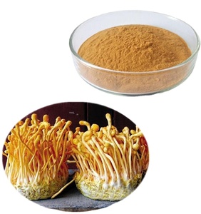 Cordyceps Extract ISO High Quality Cordyceps Militaris Extract Powder 30% Polysaccharides Bulk And Custom