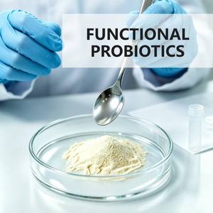 Micro-encapsulated 800B CFU Lactobacillus Plantarum Probiotic Powder for Gut Barrier Support & Intestinal Flora Balance