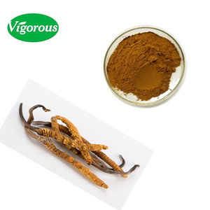 Manufacturer 100% Natrual High Quality Cordyceps Sinensis Extract