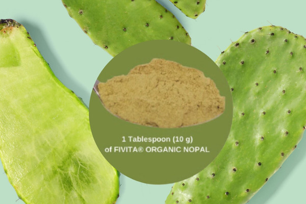 Organic nopal cactus powder ingredient
