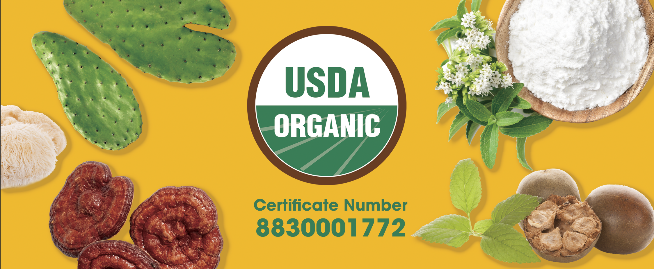 USDA Certified Organic Ingredients Bulk Supplier