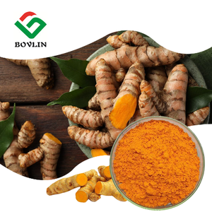 Factory Direct Supply Water Soluble Turmeric Curcumin Powder 10%