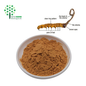 Energy Booster Cordyceps Sinensis CS 4 Food Grade Mushroom Extract Powder Organic Certified